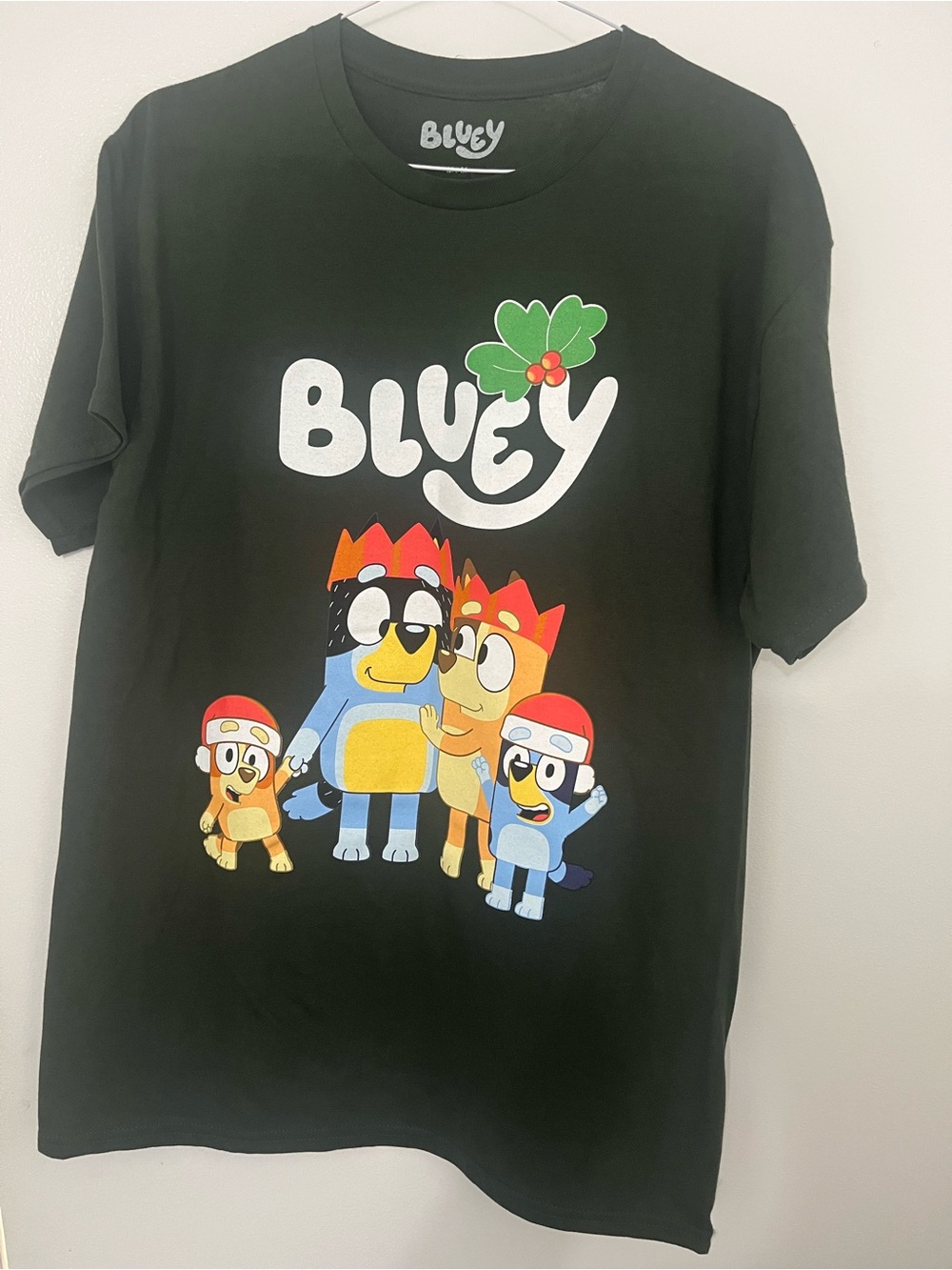 BLUEY Grapic Tees, Size M, Men